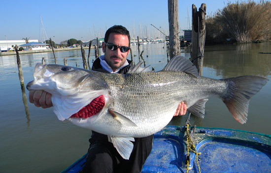 Roberto Prenassi et un enorme bar de 11,2 kg